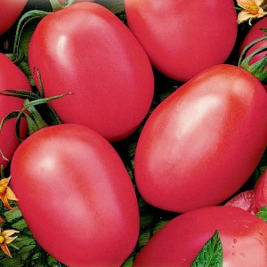 Семена томата Де Барао красный